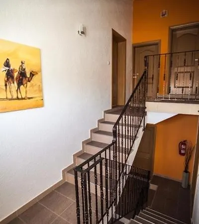 In Zadar With Terrace, Air Conditioning, Wifi, Washing Machine 4141-3 Apartment